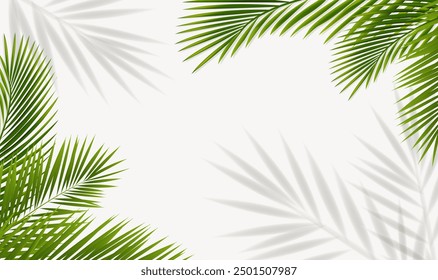 Green Palm Tree Branch And Isolated Background With Gradient Mesh, Vector Illustration