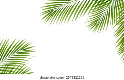 Green Palm Tree Branch Isolated White Background With Gradient Mesh, Vector Illustration