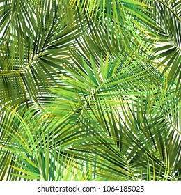 Green palm tree branches on abstract background. Vector illustration.