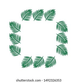 green palm tree branches, vector frame 