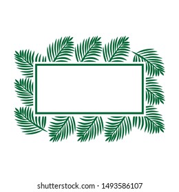 green palm tree branches, vector frame 