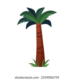 Green palm tree flat icon. Cartoon tropical tree plant with leaves. Vector illustration isolated on white. Garden summer nature coconut or banana palm