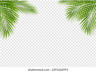 Green Palm Tree Frame Isolated Transparent Background  , Vector Illustration

