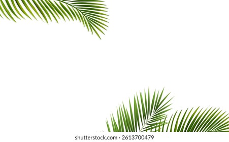 Green Palm Tree And Isolated White Background, Vector Illustration