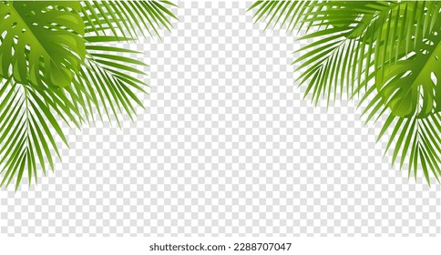 Green Palm Tree Leaves Leaves Frame Isolated Transparent Background , Vector Illustration