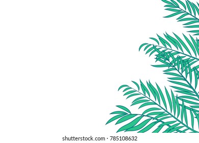 Green palm tree leaves isolated on white background with space for text.