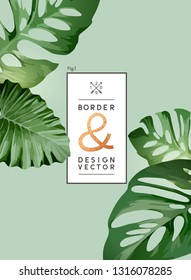 Green palm tree leaves on a frame design. Vector background.
