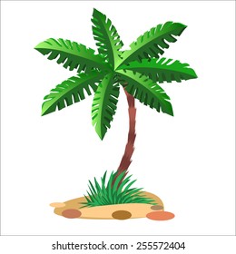 Green palm tree on a sandy soil and a neutral background