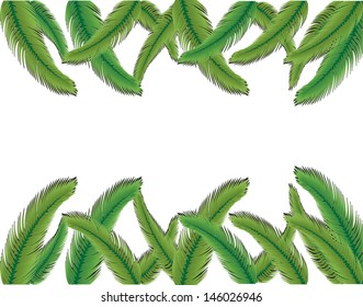 Green palm tree on white background