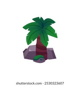 Green palm tree with stones icon. Cartoon tropical tree plant with leaves and rocks. Garden summer nature game props. Vector flat illustration isolated on white