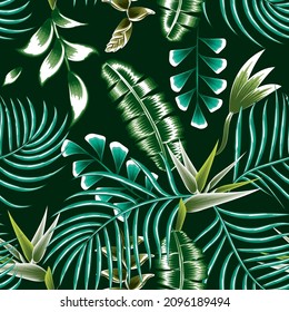 palmeras verdes sobre un fondo verde oscuro sin fisuras con hojas tropicales de plátano y pájaro de flores del paraíso plantas y follaje, impresión tropical de playa de verano. Tropos exóticos. textura de moda