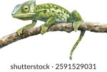 green panther chameleon on a branch. watercolor tropical reptile illustration, exotic lizard close-up isolated on white