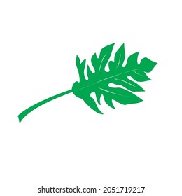 green papaya leaf vector image. similar to the green color silhouette. can be used as a symbol, logo or icon. Papaya leaf color can be changed.