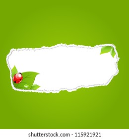 Green Paper Hole With Leaf, Vector Illustration