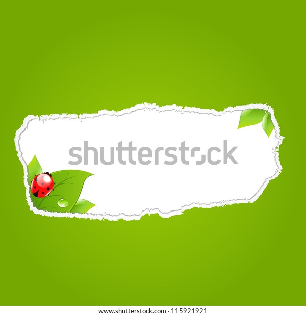 Green Paper\
Hole With Leaf, Vector\
Illustration