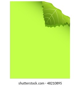 green paper - vector illustration