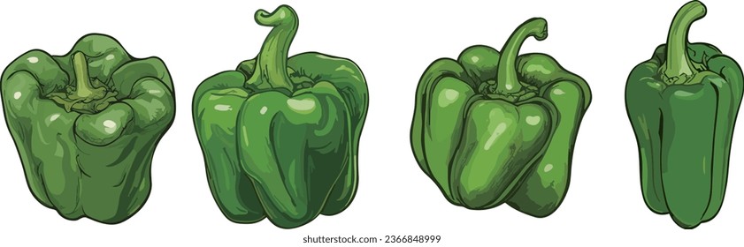 Green Paprika . Bell Pepper Icon : Suitable for Culinary Theme, Food Theme, Vegetables Theme, Agriculture Theme, Infographics and Other Graphic Related Assets.