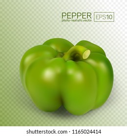 Green paprika isolated on transparent background. Sweet pepper in a realistic style. This pepper can be placed on any background. Vector illustration