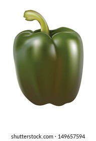 Green Paprika. Vector Illustration