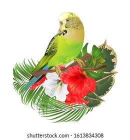 Green parakeet Budgerigar, home pet , pet parakeet  or budgie or shell parakeet  with tropical flowers  floral arrangement with beautiful white and red hibiscus and  palm,philodendron  ficus  vector