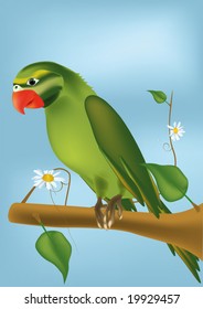 green parrot