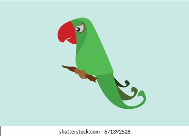green parrot 
