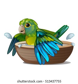 Green parrot bathing in a bowl of water isolated on a white background. Tropical tamed bird. Vector illustration.