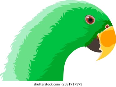 Green Parrot Bird Beak Illustration Isolated on White Background