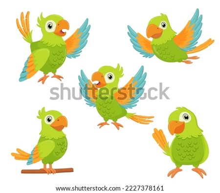 Green parrot bird standing on branch and flying. Flat cartoon character set isolated on white.