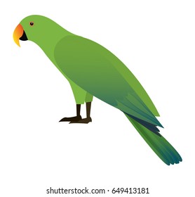 Green parrot. Cute vector illustration. Cartoon bird.