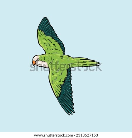 green parrot. Flying parrot vector illustration isolated on white background. Top side view, profile.