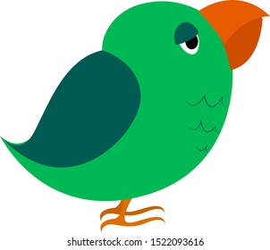 Green parrot, illustration, vector on white background.