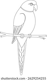 Green parrot (likely an Alexandrine Parakeet) perched on a branch, depicted in a clean outline illustration