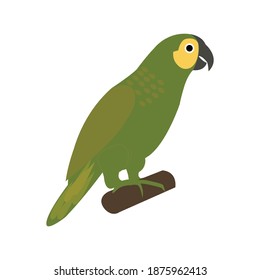 Ilustraciones Imagenes Y Vectores De Stock Sobre Aves Domesticas Shutterstock