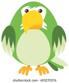 Green parrot on white background illustration
