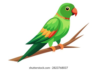 Green parrot perched on branch with white background.