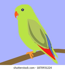 green parrot perched on a twig, beautiful bird in wildlife, flat and simple design vector