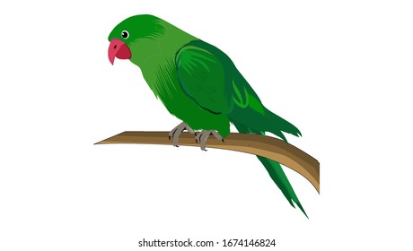 A green parrot sits on the tree branch -illustration