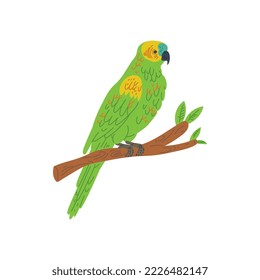 Green parrot sitting on perch flat vector illustration isolated on white background. Exotic parrot bird alights on perch. Tropical or jungle birds representative.