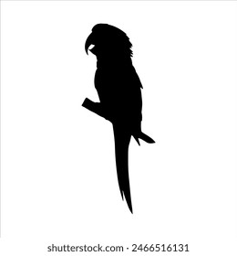 Green parrot sitting silhouette isolated on white background. Green parrot icon vector illustration design.