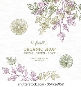 Green parsley design template. Organic background. Vector illustration