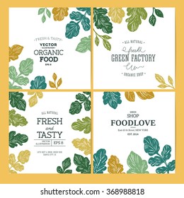 Green parsley design templates. Banner collection. Organic background. Vector illustration