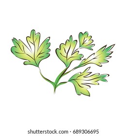 Green parsley leaves or celery. Vector illustration, isolated on white background.