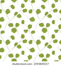 Green parsley leaves seamless pattern isolated on white background. Cilantro leaves, parsley twig, chervil or coriander leaf collection. Vector hand drawn illustration print for textile, wrapping