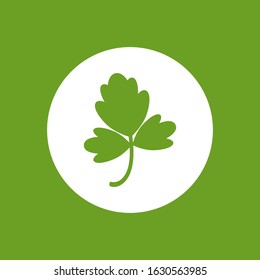 Green parsley twig, shoot, sprig. Icon Isolated on white. Logo for eco company, agriculture, nature firm, ecology, healthy organic and farm fresh food. Vector Illustration. kitchen herbs