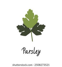 Green parsley twig, shoot, sprig. Icon Isolated on white. Logo for eco company, agriculture, nature firm, ecology, healthy organic and farm fresh food. Vector Illustration. kitchen herbs