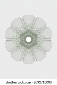 Green passport style rosette. Vector Illustration. Detailed. 