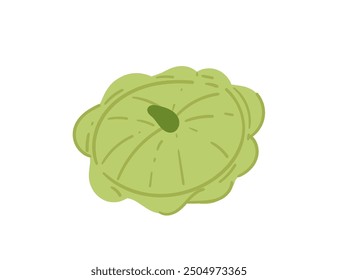 Green patisson squash vegetable. Fresh veggie of agriculture crop plant. Vector illustration isolated on white background