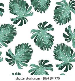 Green pattern with monstera palm leaves on white background. Seamless summer tropical fabric design.