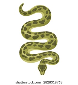 Green patterned snake slithering on white background.